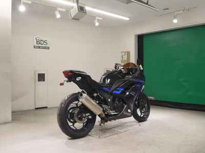 Kawasaki Ninja 250 2015