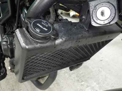 Honda Rebel S CMX250 2020