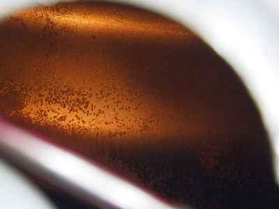 Triumph Trident 660 2023