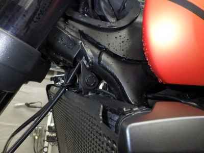 Triumph Trident 660 2023