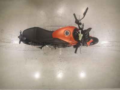 Triumph Trident 660 2023