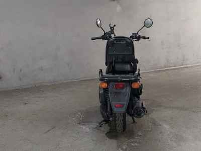 Honda PS250 Big Ruckus 2006