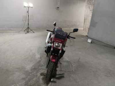 Kawasaki ZRX1200 Daeg 2017