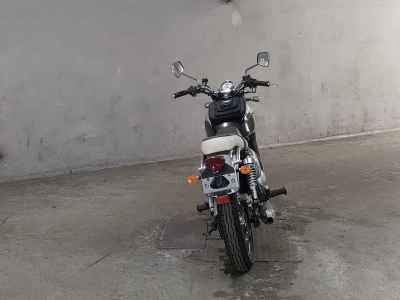 Kawasaki Estrella RS