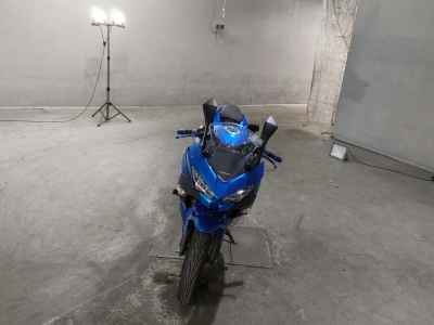 Kawasaki Ninja 250 2018