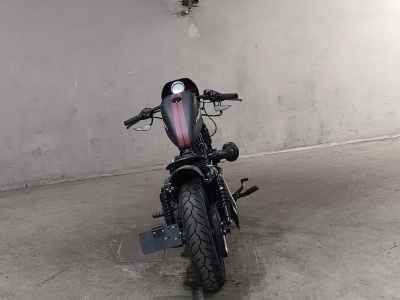 Harley-Davidson Iron XL1200NS 2019