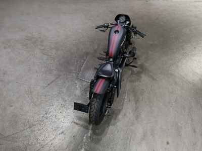 Harley-Davidson Iron XL1200NS 2019