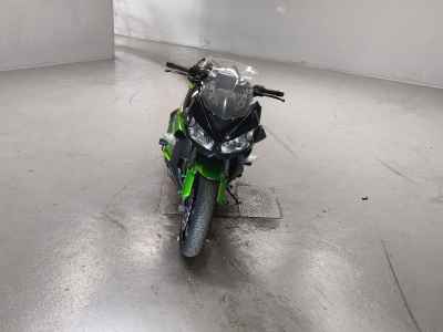 Kawasaki Ninja 1000 2013