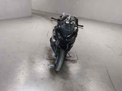 Kawasaki Ninja 1000 2017