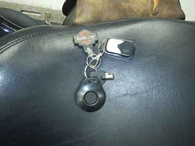 Harley-Davidson Night Rod 1250 SP 2008