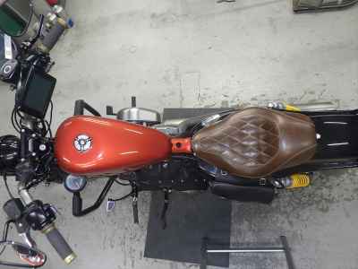 Harley-Davidson Sportster Forty-Eight XL1200X 2010