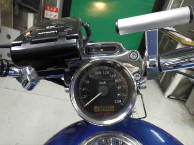 Harley-Davidson Sportster Custom XL1200C 2005