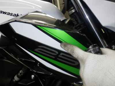 Kawasaki Z250 2019