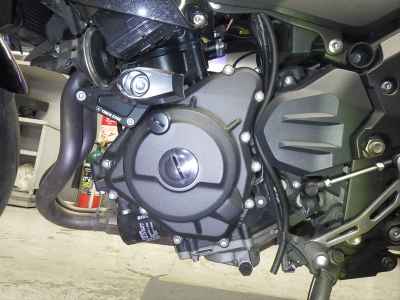 Kawasaki Z250 2019