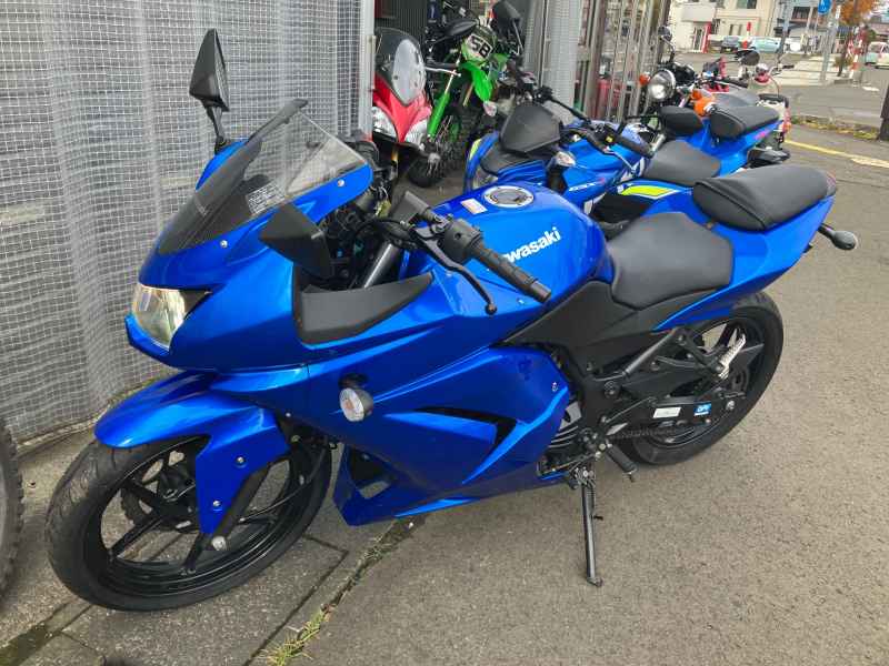 Kawasaki Ninja 250R 2008