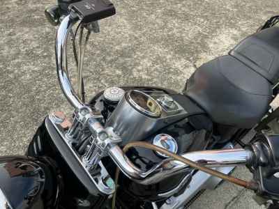 Harley-Davidson FLSTFB 2010