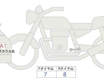 Kawasaki Ninja ZX-4RR 2024