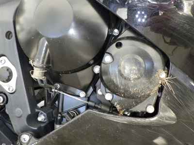 Triumph Daytona 675 2023