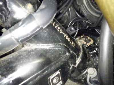 Kawasaki Z1000 2005
