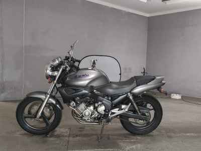 Yamaha ZEAL FZX250