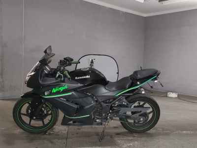 Kawasaki Ninja 250R