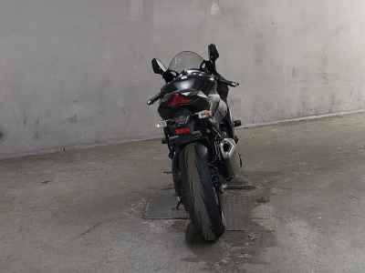 Kawasaki Ninja ZX-10RR 2019