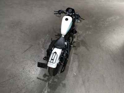 Harley-Davidson Iron XL1200NS 2018