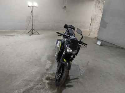 Kawasaki Z250 2022