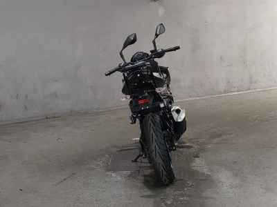Kawasaki Z250 2022