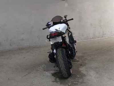 Kawasaki Ninja 1000 2013