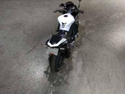 Kawasaki Ninja 1000 2013