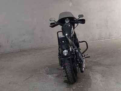 Harley-Davidson Iron XL1200NS 2020