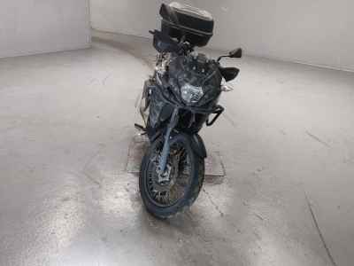 Kawasaki Versys-X 250 2020