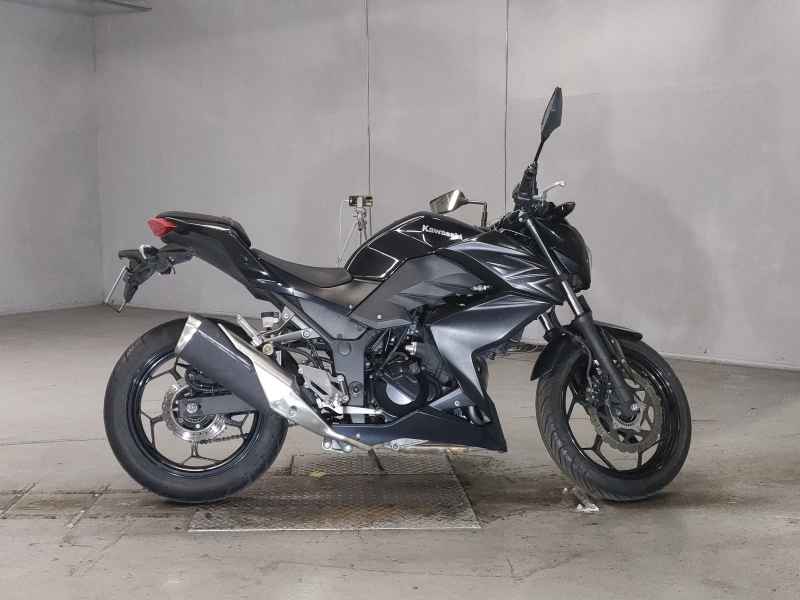 Kawasaki Z250 2016