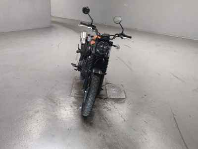 Honda CL250 2023