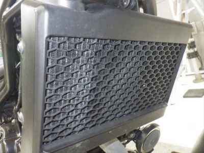 Honda Rebel CMX250 2023