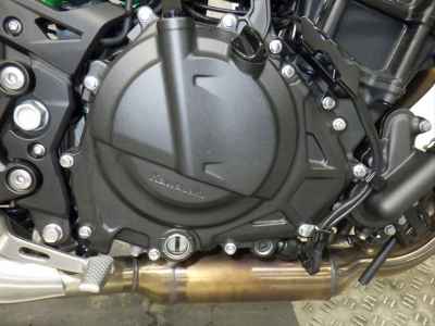 Kawasaki Z250 2024