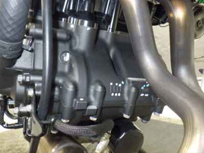 Kawasaki Z250 2024