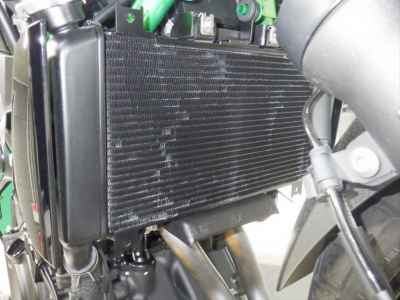 Kawasaki Z250 2024