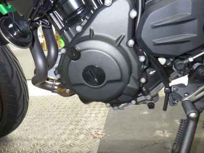Kawasaki Z250 2024