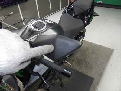 Kawasaki Z250 2024