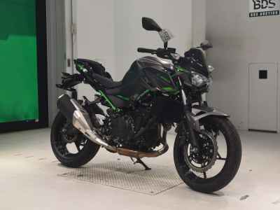 Kawasaki Z250 2024