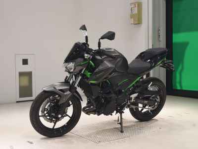 Kawasaki Z250 2024