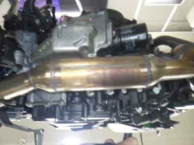 Kawasaki Z250 2024