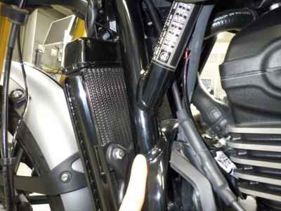 Triumph Scrambler 400X 2025