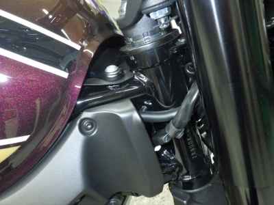 Kawasaki Z900RS 2025