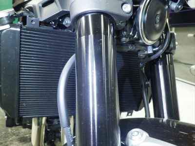 Kawasaki Z900RS 2025
