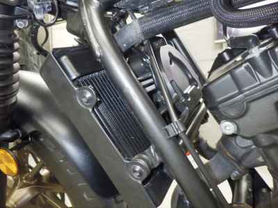Honda Rebel CMX250 2023