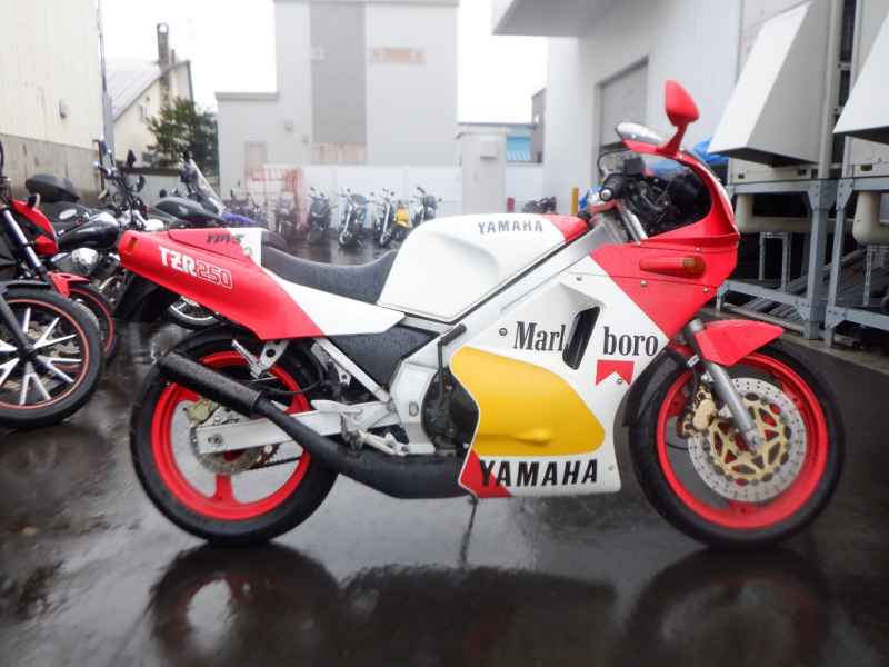 Yamaha TZR250