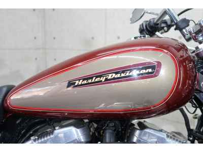 Harley-Davidson Sportster XL883R 2010